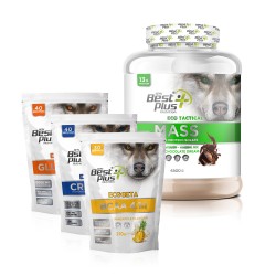 BPN Best Plus Nutrition Eco Tactical Kombinasyon Paketi ( Mass Gainer Çikolata Aromalı + Bcaa + Glutamine + Creatine)